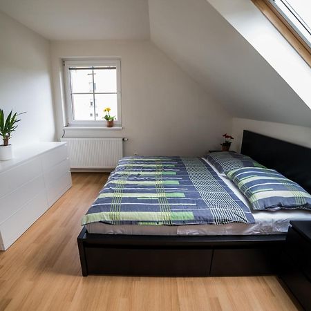 Apartmany Hasicarna Horní Vltavice Εξωτερικό φωτογραφία
