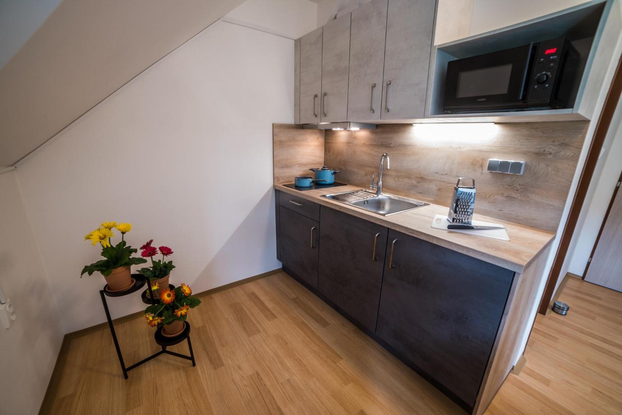 Apartmany Hasicarna Horní Vltavice Εξωτερικό φωτογραφία